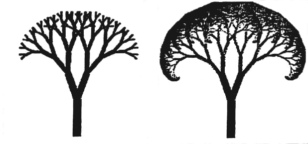 Фрактальное дерево